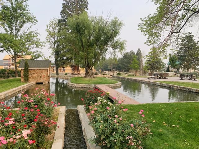 The Reflection Pond