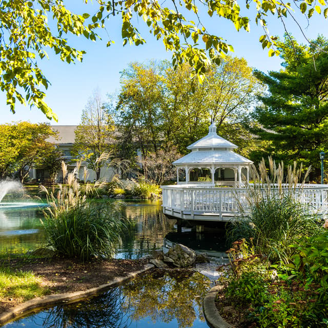 Outdoor Garden