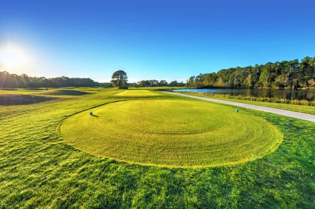 cypress-head-golf-header-02.jpg