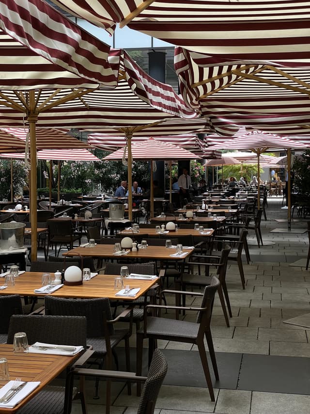 Patio Courtyard