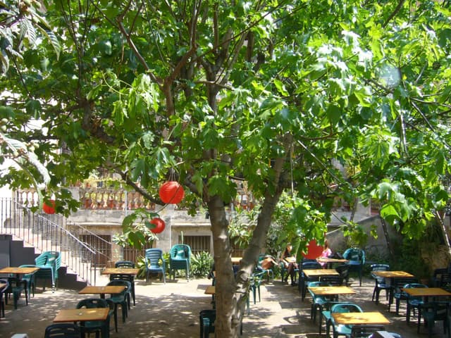 Terrace and Garden