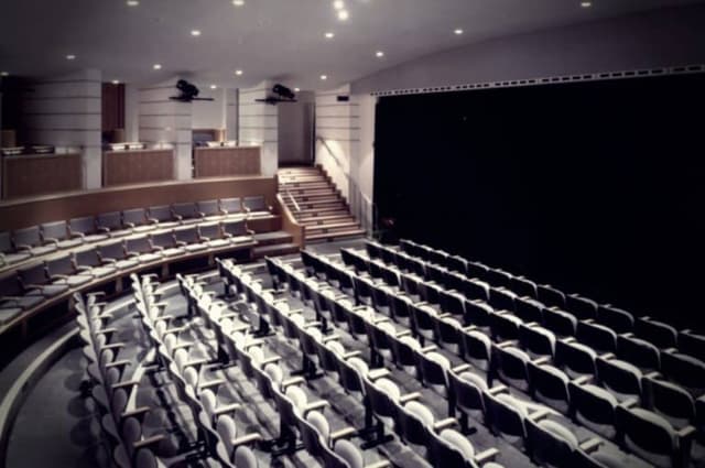 Theater - Thierry Salmon Room