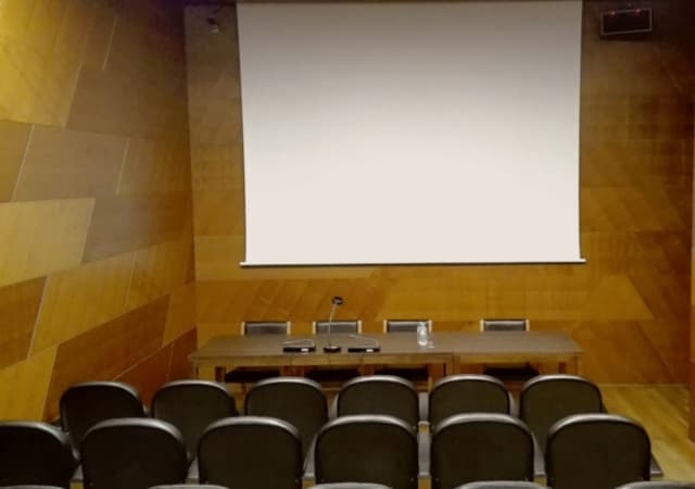 Lecture Hall (Conference Hall)