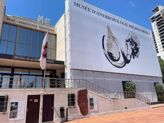 Full Buyout of Monaco Museum of Prehistoric Anthropology