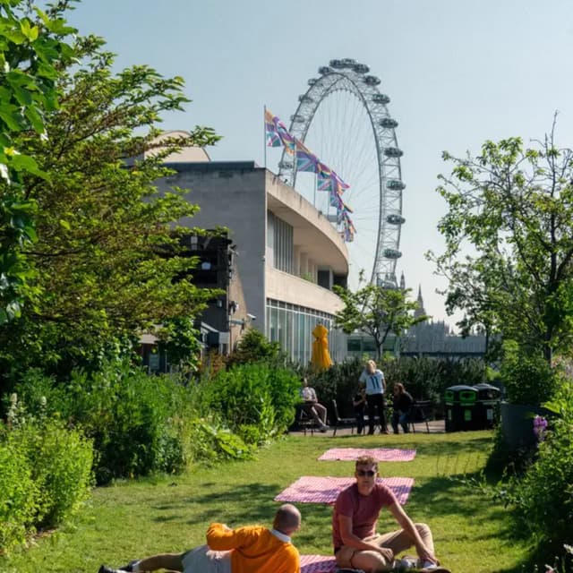 Full Buyout of Queen Elizabeth Hall Roof Garden