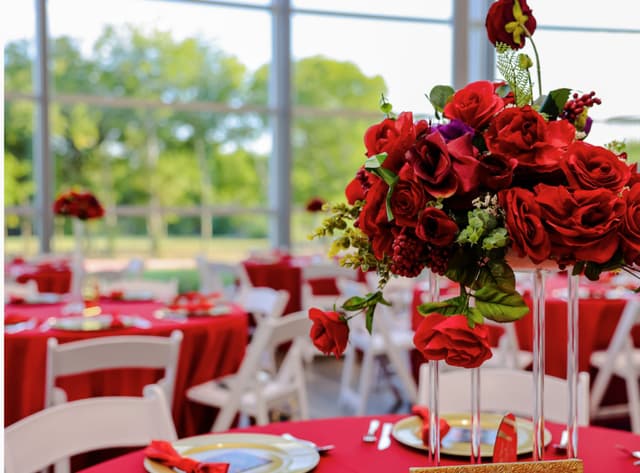 Red Dress Red Tie Gala - 0