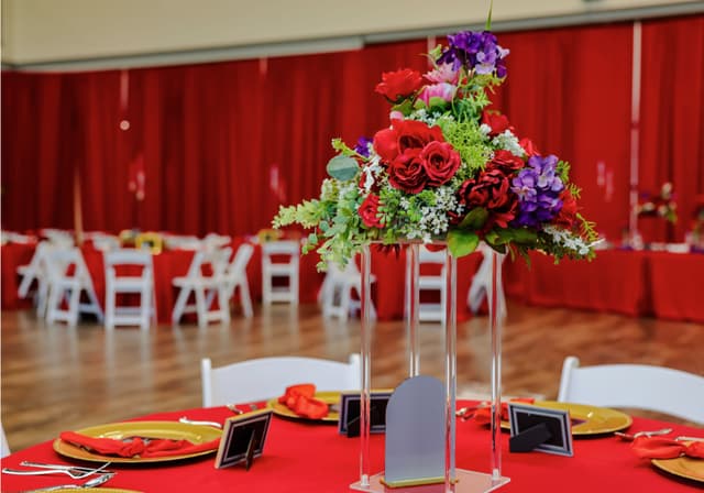 Red Dress Red Tie Gala