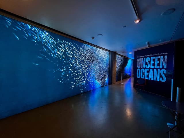 Environmental Graphics
