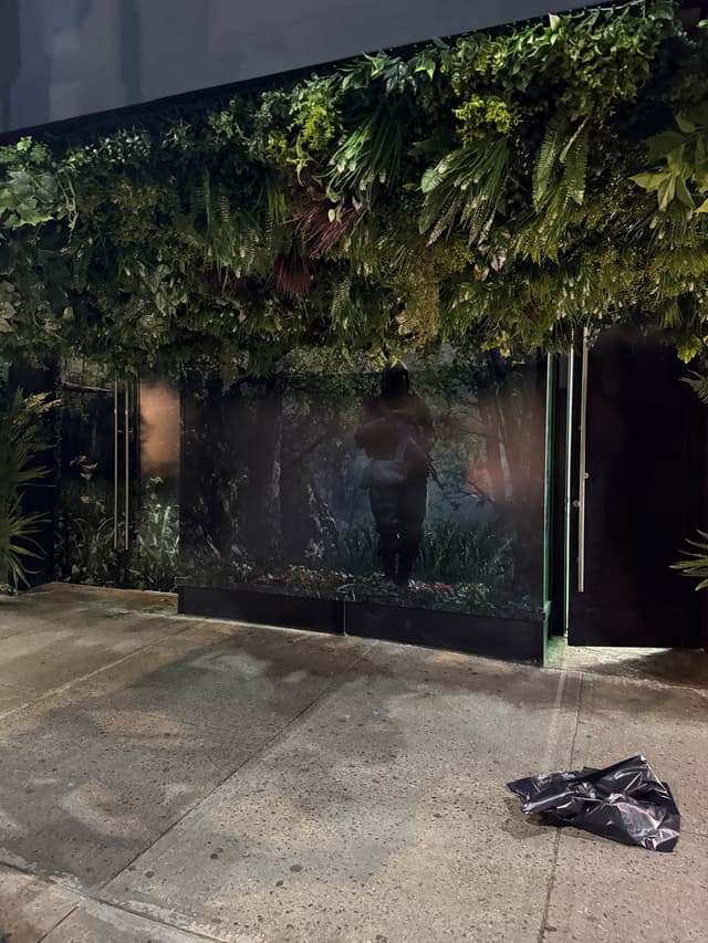 Scenic / Set Design Support