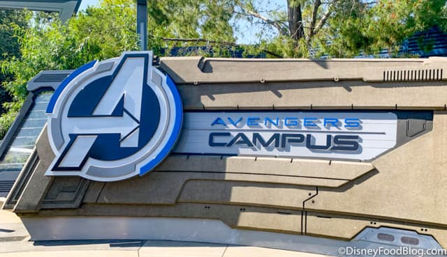Avengers Campus Launch - 0