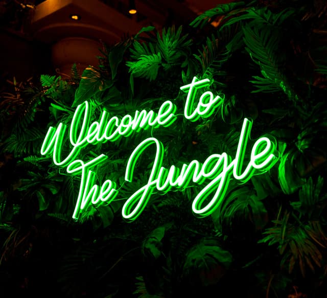 Neon Jungle 