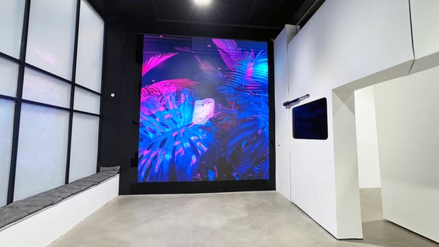 LED Wall Enrance.jpg