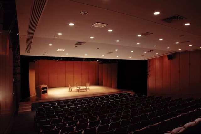 Japan Society - Auditorium - Wood Panels.jpg
