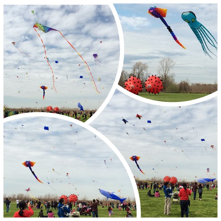 Sugar Land Kite Festival