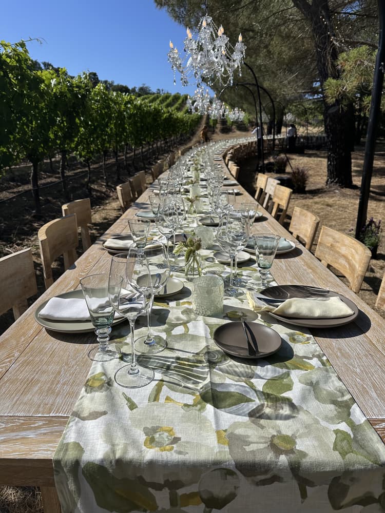 Private Dinner for Coca Cola & CEOs 