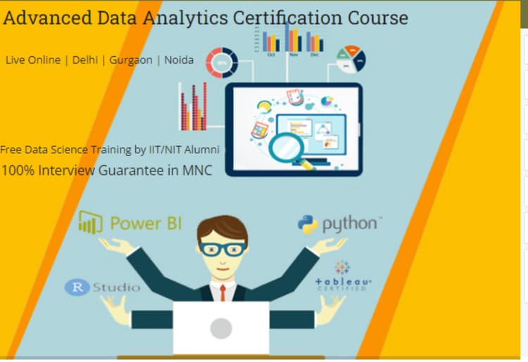 Data Analyst Course in Delhi by SLA 
