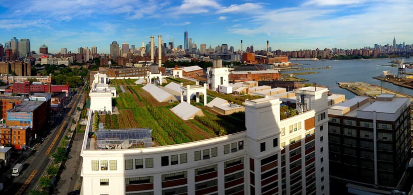 Jaw-dropping Rooftop Venues in Brooklyn You'll Fall in Love With