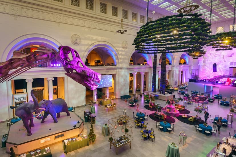 14 Best Museums in Chicago