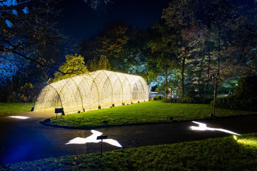 Skip Central Park and Head to These NYC Botanical Gardens