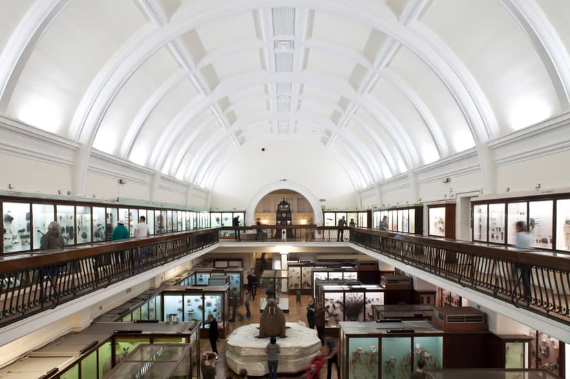 15 Best Museums in London