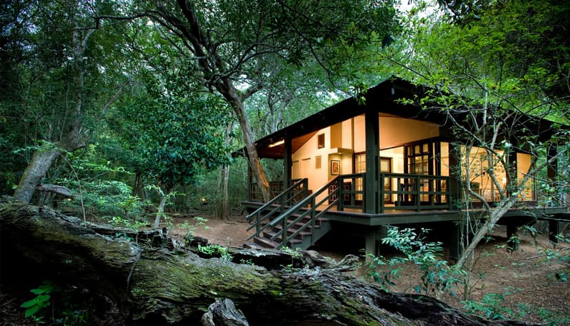 The 20 Best African Safari Camps
