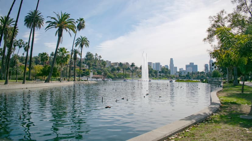 The 11 Most Idyllic Parks for Picnicking In Los Angeles
