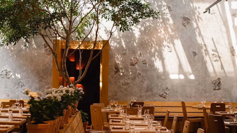 The 36 Best Restaurants in Mexico City, From the Splurge-Worthy to Streetside Tamale Stands