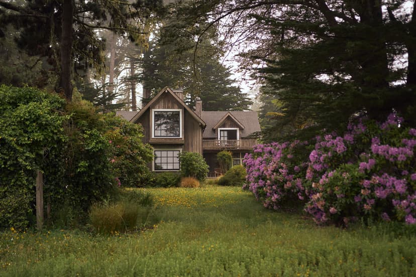 A Sense of Wellbeing Among the Trees in Mendocino County, California