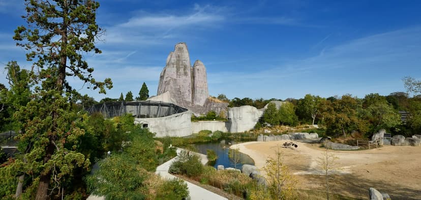 The Most Beautiful Zoos Near Paris Not To Be Missed