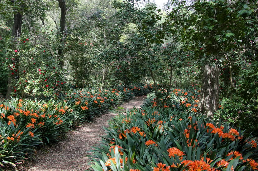 Stroll Through These Botanic Gardens for a Taste of Autumn in LA
