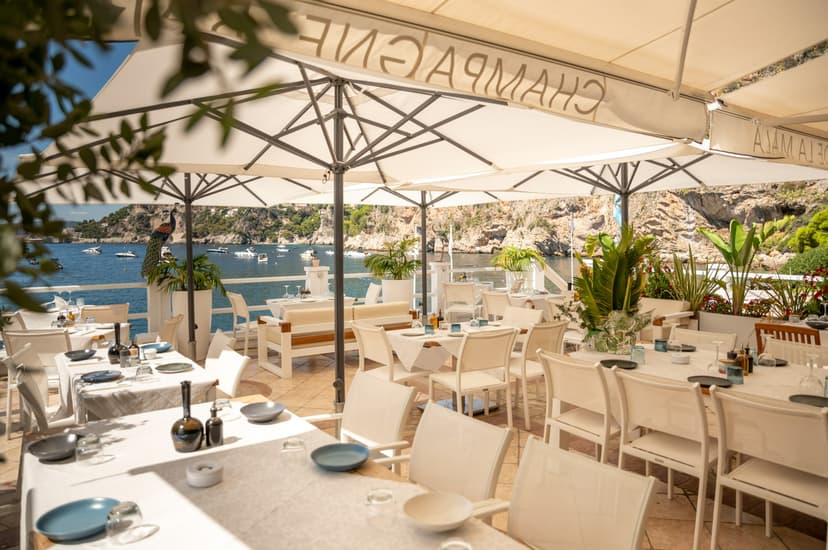 Lunch or dinner in Monaco: The best restaurants - Excellence
