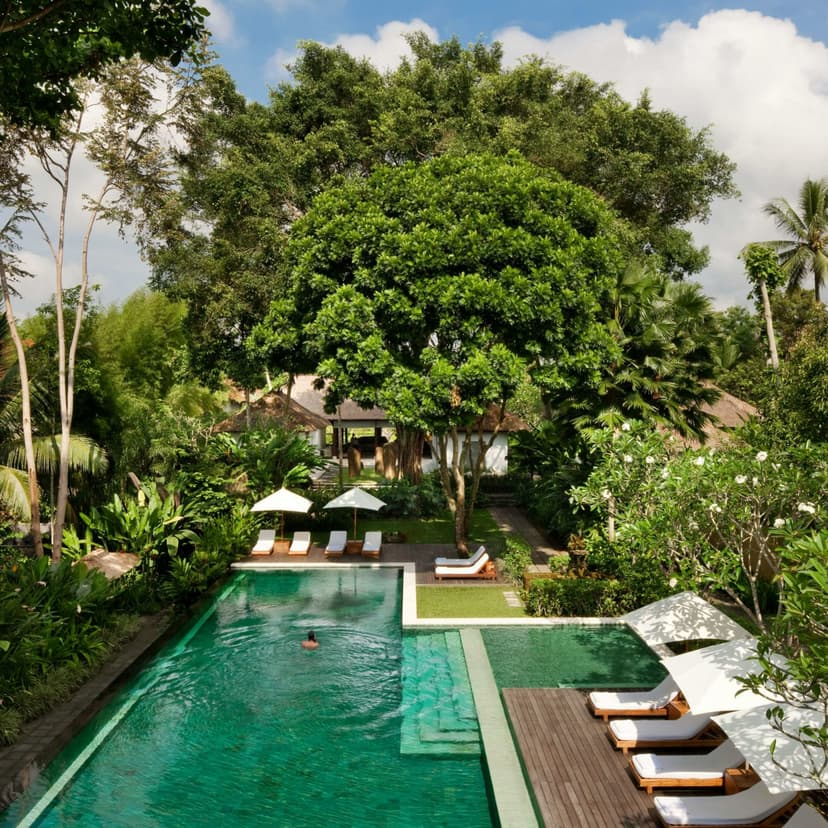 The 7 Best Luxury Resorts in Ubud, Bali’s Booming Spiritual Center