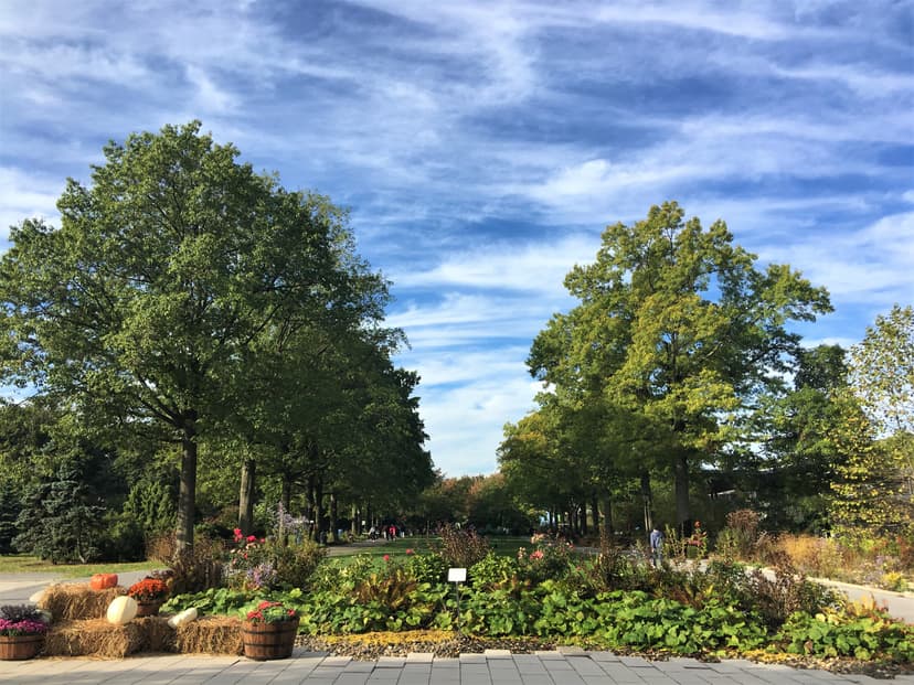 Skip Central Park and Head to These NYC Botanical Gardens