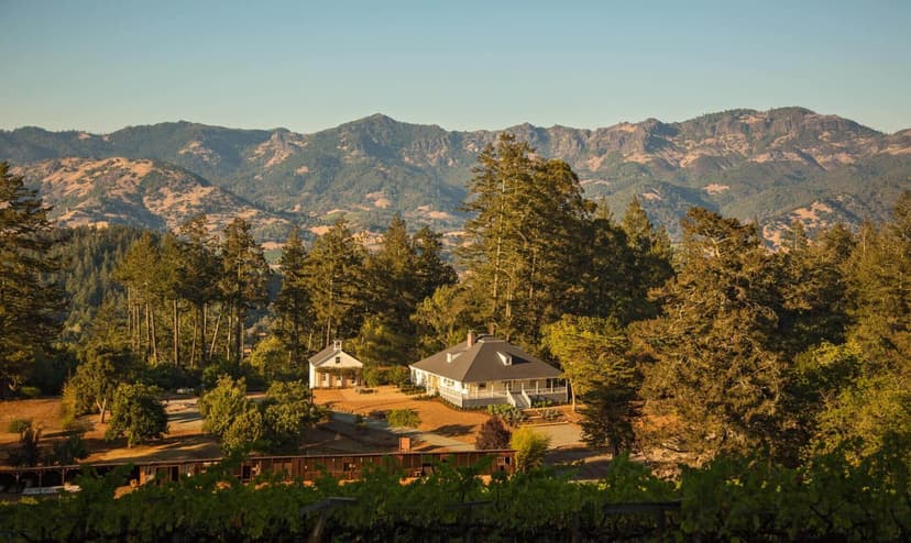Your Guide To Napa’s Best-Kept Wine Secrets